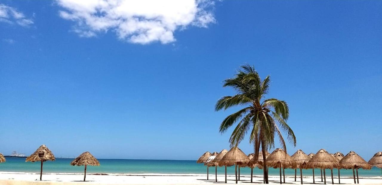 Hotel & Suites Domani Progreso  Ngoại thất bức ảnh